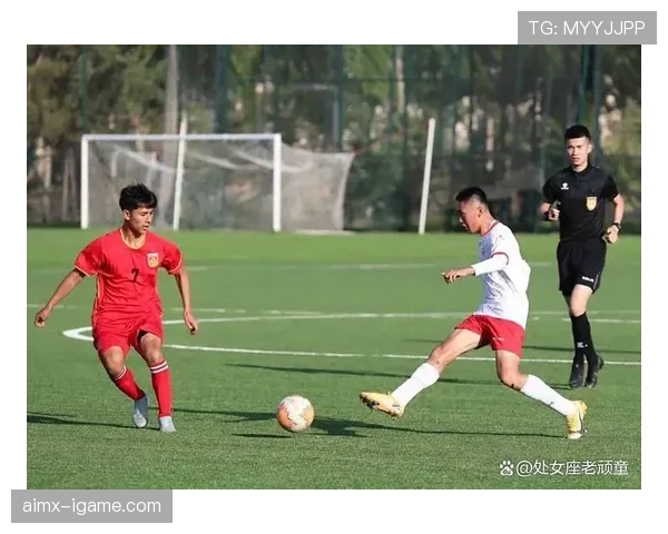 足球巨星智慧分享：绿茵场上的拼搏精神如何照亮人生道路